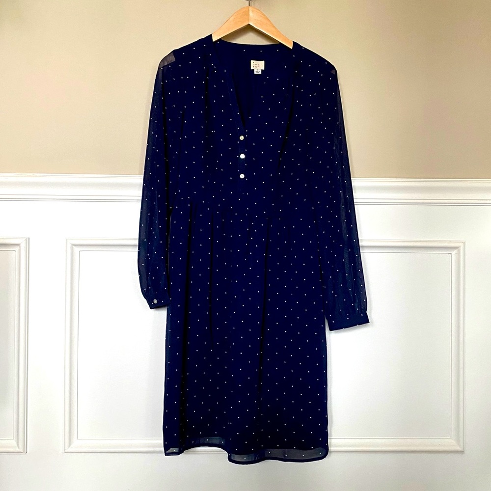 Women’s Navy Dress